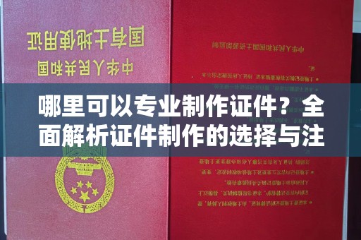 拉萨哪里可以专业制作证件？全面解析证件制作的选择与注意事项