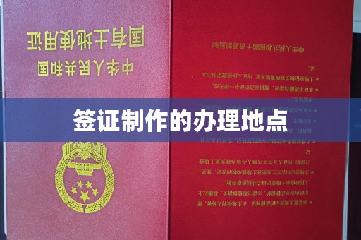 拉萨签证制作的办理地点