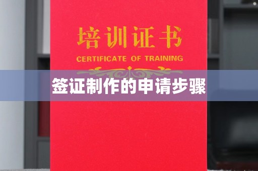 拉萨签证制作的申请步骤