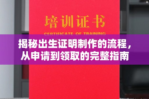拉萨揭秘出生证明制作的流程，从申请到领取的完整指南