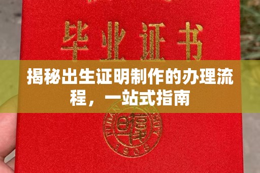拉萨揭秘出生证明制作的办理流程，一站式指南