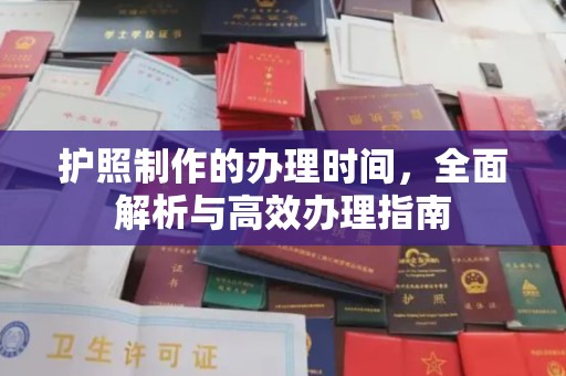 拉萨护照制作的办理时间，全面解析与高效办理指南