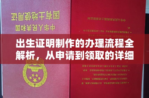 拉萨出生证明制作的办理流程全解析，从申请到领取的详细指南